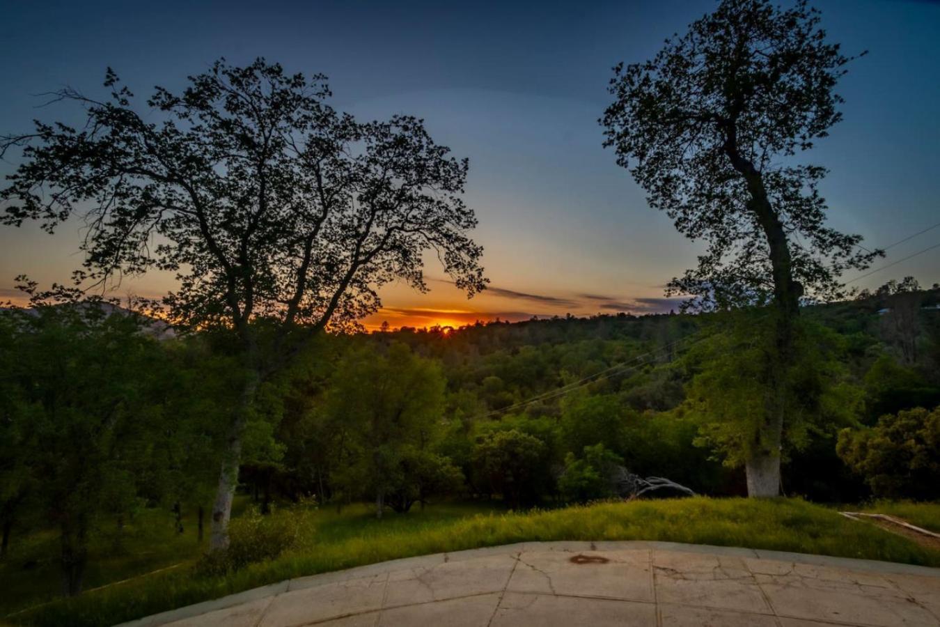 10-Acre Forest Villa, 20 Miles From Yosemite South Oakhurst Exterior photo