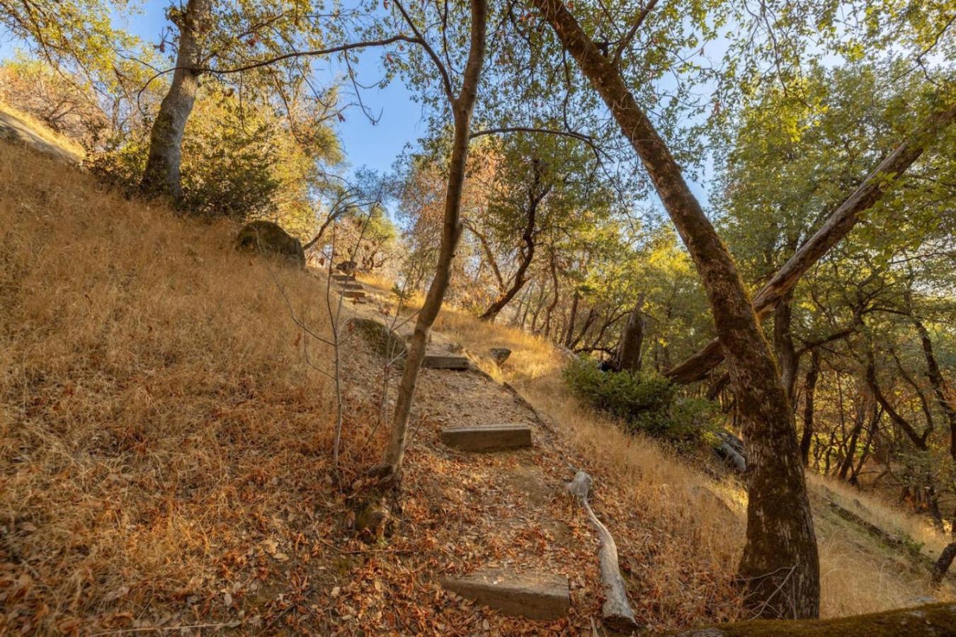 10-Acre Forest Villa, 20 Miles From Yosemite South Oakhurst Exterior photo